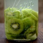 Kiwi Moonshine Recipe
