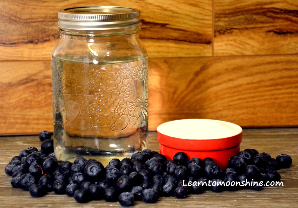 Homemade Blueberry Pie Moonshine Recipe Learn to Moonshine