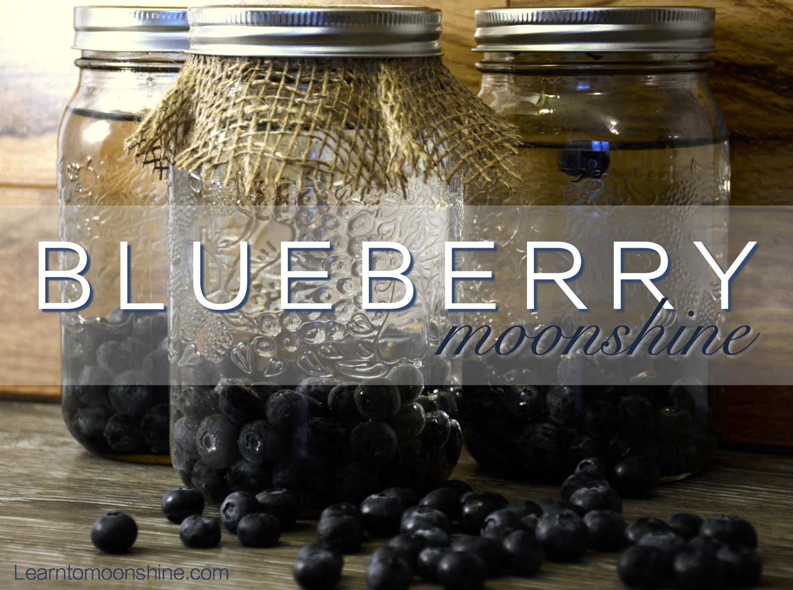 Blueberry Moonshine Recipes With Everclear Besto Blog