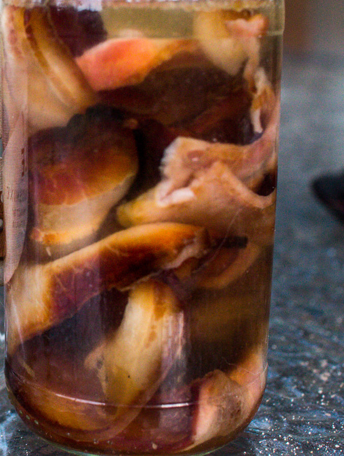 The Best BACON MOONSHINE Recipe EVER Learn to Moonshine